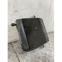 Radiatore Honda Foresight 250 dal 1998 al 2004  1756719607236