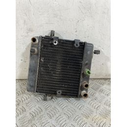 Radiatore Honda Foresight 250 dal 1998 al 2004  1756719607236