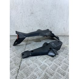 Carena Portatarga Posteriore Ducati Monster 821S Dal 2017 Al 2021  1756720616395