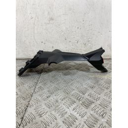 Carena Portatarga Posteriore Ducati Monster 821S Dal 2017 Al 2021  1756720616395