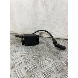 Bobina Centralina Accensione Piaggio Liberty 50 4T dal 2004 al 2016  1756733440741