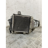 Radiatore Honda SH 150 Dal 2013 al 2016  1756826024537