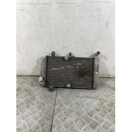 Radiatore Honda Silver Wing 600 Dal 2006 Al 2009  1756983153484