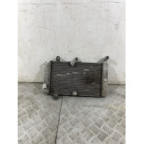 Radiatore Honda Silver Wing 600 Dal 2006 Al 2009  1756983153484