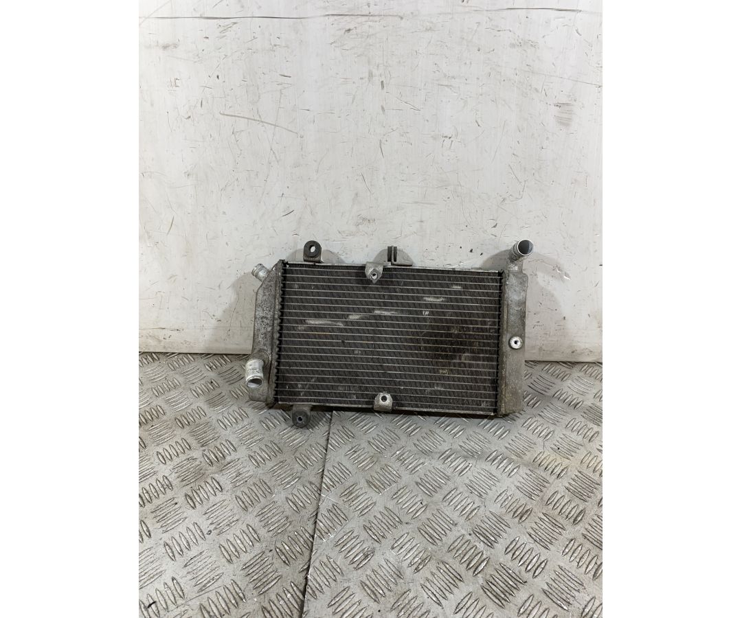 Radiatore Honda Silver Wing 600 Dal 2006 Al 2009  1756983153484