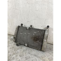 Radiatore Honda Silver Wing 600 Dal 2006 Al 2009  1756983153484