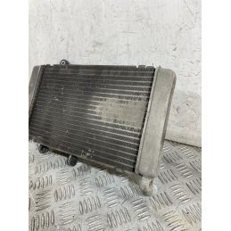Radiatore Honda Silver Wing 600 Dal 2006 Al 2009  1756983153484