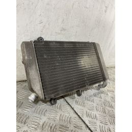 Radiatore Honda Silver Wing 600 Dal 2006 Al 2009  1756983153484