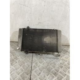 Radiatore Honda Silver Wing 600 Dal 2006 Al 2009  1756983153484