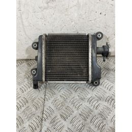 Radiatore Yamaha Xenter 125 / 150 Dal 2011 al 2018  1756992535578