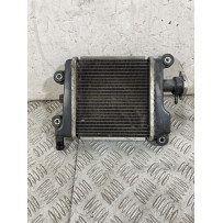 Radiatore Yamaha Xenter 125 / 150 Dal 2011 al 2018  1756992535578