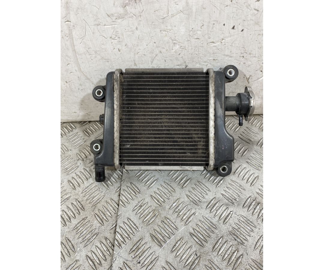 Radiatore Yamaha Xenter 125 / 150 Dal 2011 al 2018  1756992535578