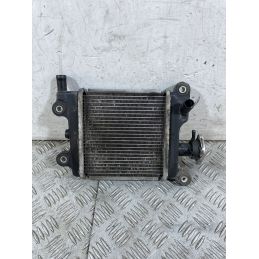 Radiatore Yamaha Xenter 125 / 150 Dal 2011 al 2018  1756992535578