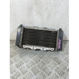 Radiatore SYM Joyride 125 / 150 Dal 2000 al 2007  1756995741761