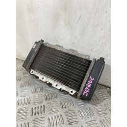 Radiatore SYM Joyride 125 / 150 Dal 2000 al 2007  1756995741761