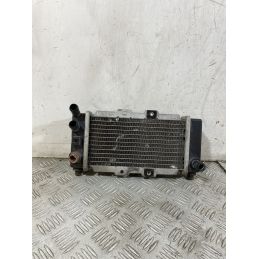 Radiatore SYM Joyride 125 / 150 Dal 2000 al 2007  1756995741761