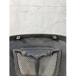 Carena Scudetto Anteriore Aprilia Scarabeo Light 125 / 200 dal 2007 al 2013  1757338299116