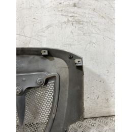 Carena Scudetto Anteriore Aprilia Scarabeo Light 125 / 200 dal 2007 al 2013  1757338299116