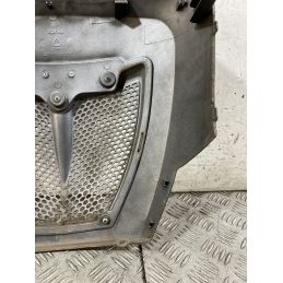 Carena Scudetto Anteriore Aprilia Scarabeo Light 125 / 200 dal 2007 al 2013  1757338299116