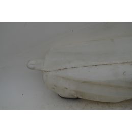 Vaschetta acqua tergicristalli Dacia Duster Dal 2013 al 2018 Cod 8200210002  1757429870231