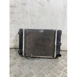 Radiatore Kymco Downtown 350 ABS Dal 2016 Al 2020 COD U07550-10000  1757596287375