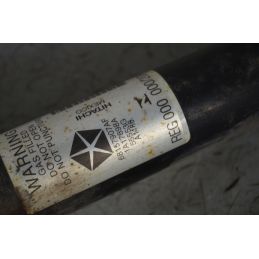 Ammortizzatori Posteriori DX e SX Jeep Cherokee Dal 2014 al 2018 Cod 68157907AF  1757923456146