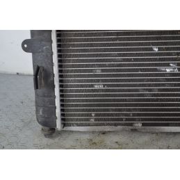 Radiatore + Elettroventola Ford Escort Dal 1990 al 2000 Cod 92AB8146  1757943035741