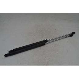 Pistoncini Bagagliaio Posteriore Ligier Nova Zenith Dal 1999 al 2004  1758013896316