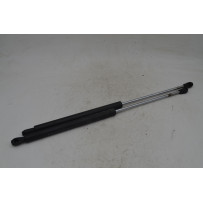 Pistoncini Bagagliaio Posteriore Ligier Nova Zenith Dal 1999 al 2004  1758013896316