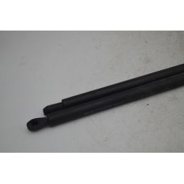 Pistoncini Bagagliaio Posteriore Ligier Nova Zenith Dal 1999 al 2004  1758013896316