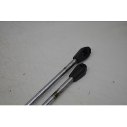 Pistoncini Bagagliaio Posteriore Ligier Nova Zenith Dal 1999 al 2004  1758013896316