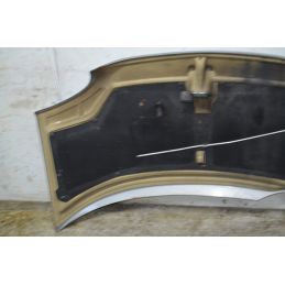 Cofano Anteriore Ligier Nova Zenith Dal 1999 al 2004  1758017227321