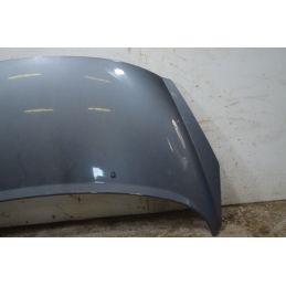 Cofano anteriore Peugeot 207 Dal 2006 al 2009 COD 7901N2  1758183169456