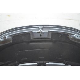 Cofano anteriore Peugeot 207 Dal 2006 al 2009 COD 7901N2  1758183169456