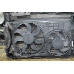 Ossatura Calandra + Radiatore Audi A3 8P Dal 2003 al 2013 Cod 1K0121521AK  1758198197239