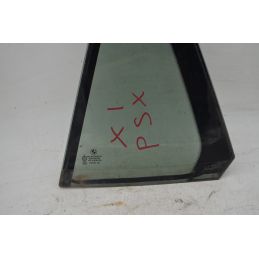 Vetro Fisso Posteriore SX BMW X1 Dal 2009 al 2015 Cod 51352990395  1758544099026