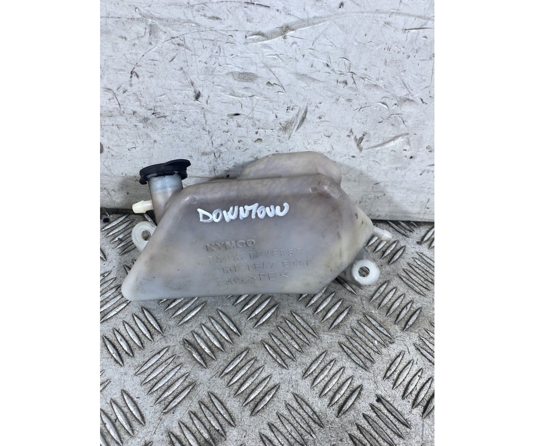 Vaschetta Acqua Kymco Downtown 300 dal 2009 al 2014  1758724863317