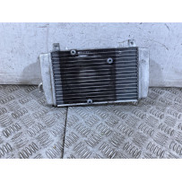 Radiatore Piaggio MP3 Yourban 300ie Dal 2011 Al 2018  1759139933893