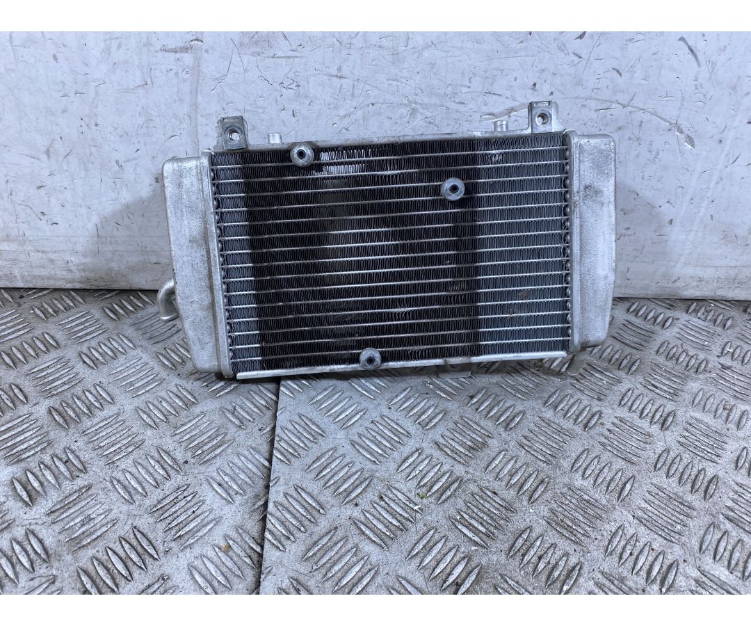 Radiatore Piaggio MP3 Yourban 300ie Dal 2011 Al 2018  1759139933893