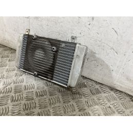 Radiatore Piaggio MP3 Yourban 300ie Dal 2011 Al 2018  1759139933893