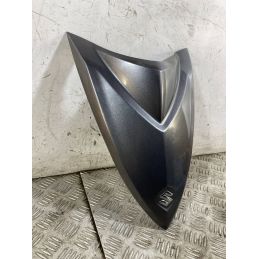 Carena Scudetto Anteriore Suzuki Address 110 Dal 2015 al 2020  1759417019240