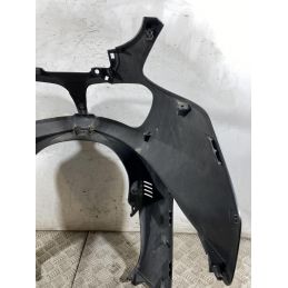 Carena Scudo Anteriore Suzuki Burgman 650 Executive Dal 2004 al 2006  1759762676099
