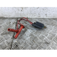 Bobine Avviamento Honda CB 900 F Hornet Dal 2002 al 2006  1759933103270
