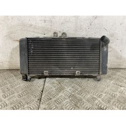 Radiatore Honda CB 900 F Hornet Dal 2002 al 2006  1759937028760