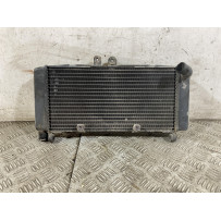 Radiatore Honda CB 900 F Hornet Dal 2002 al 2006  1759937028760