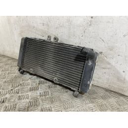 Radiatore Honda CB 900 F Hornet Dal 2002 al 2006  1759937028760