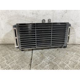 Radiatore Honda CB 900 F Hornet Dal 2002 al 2006  1759937028760