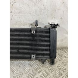 Radiatore CFMoto 650MT Dal 2021 Al 2024  1760003737127