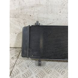 Radiatore CFMoto 650MT Dal 2021 Al 2024  1760003737127