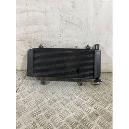 Radiatore CFMoto 650MT Dal 2021 Al 2024  1760003737127